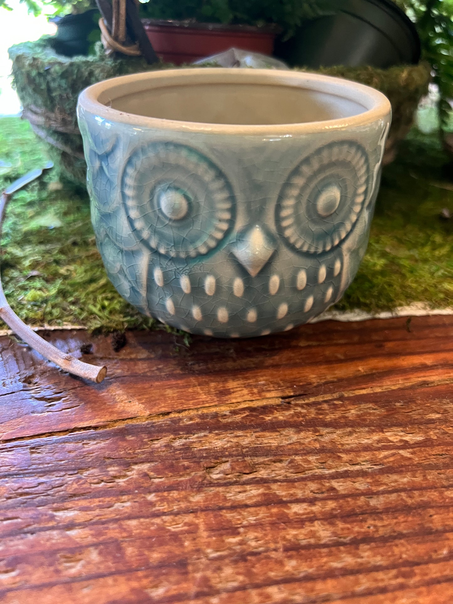 Teal Owl Ceramic Planter