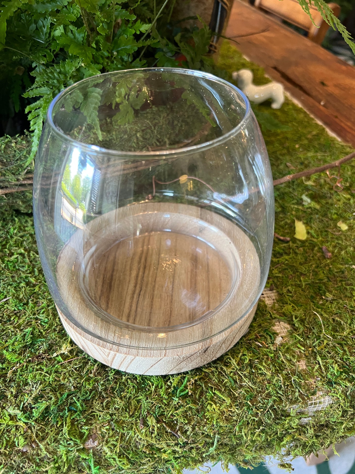 Glass Terrarium with Wood Base