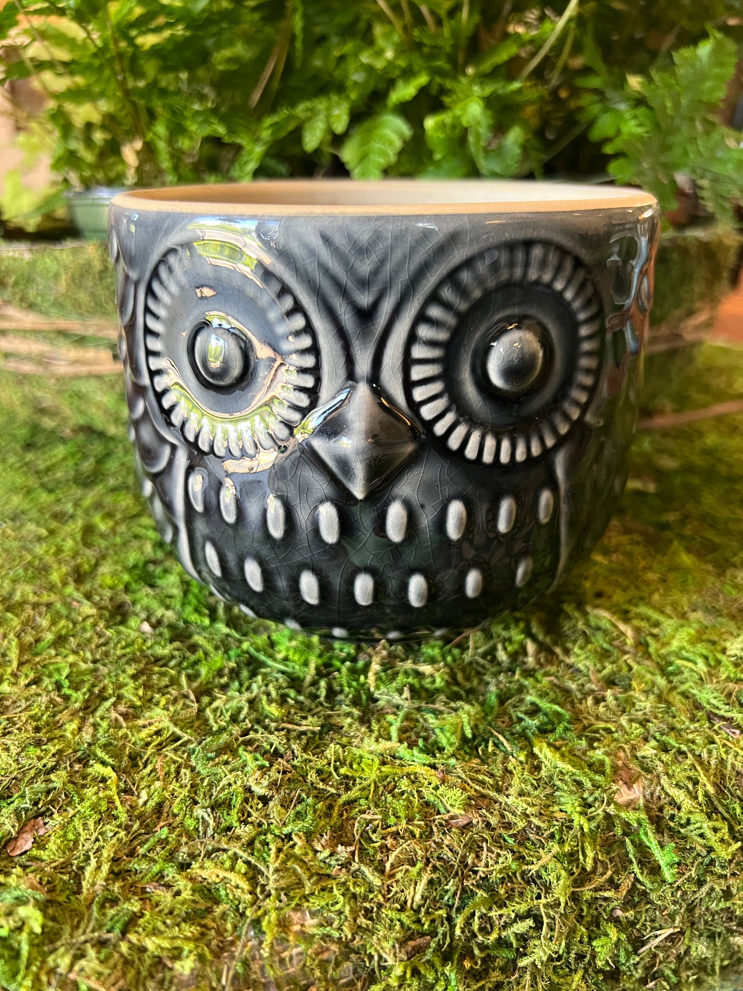 Dark Owl Ceramic Planter