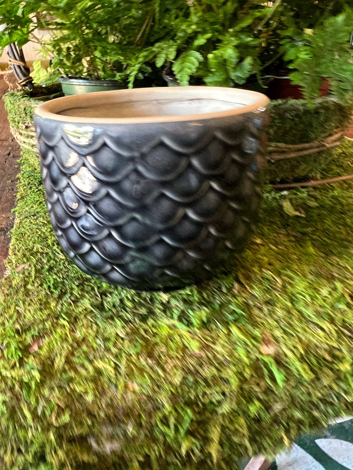 Dark Owl Ceramic Planter