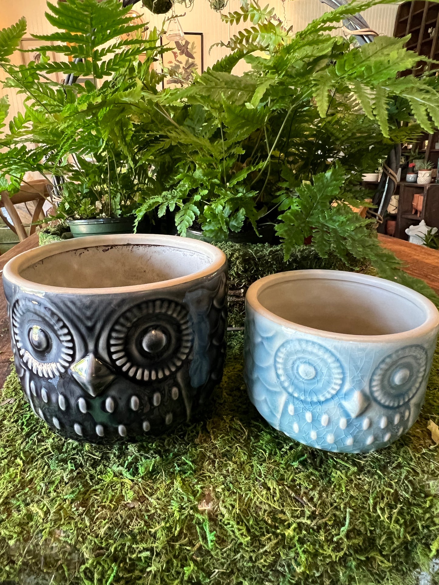 Dark Owl Ceramic Planter