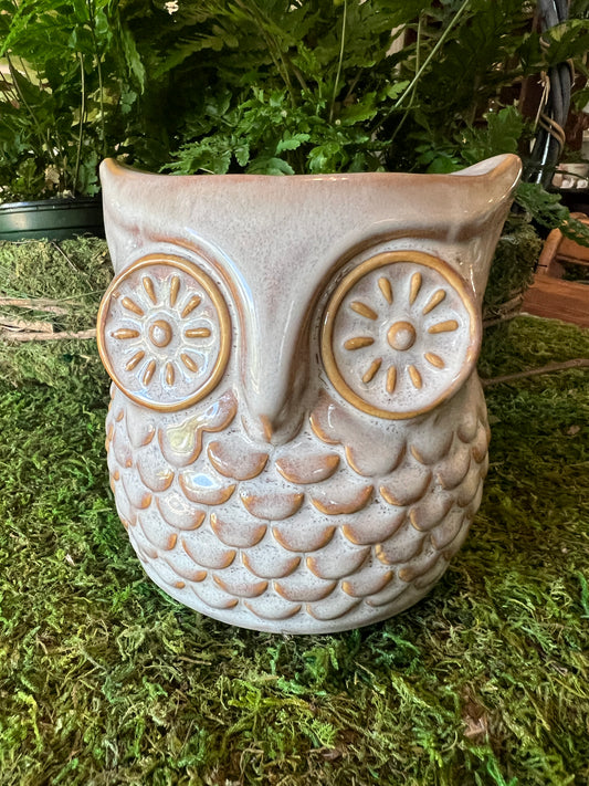 Great Gray Owl Ceramic Planter
