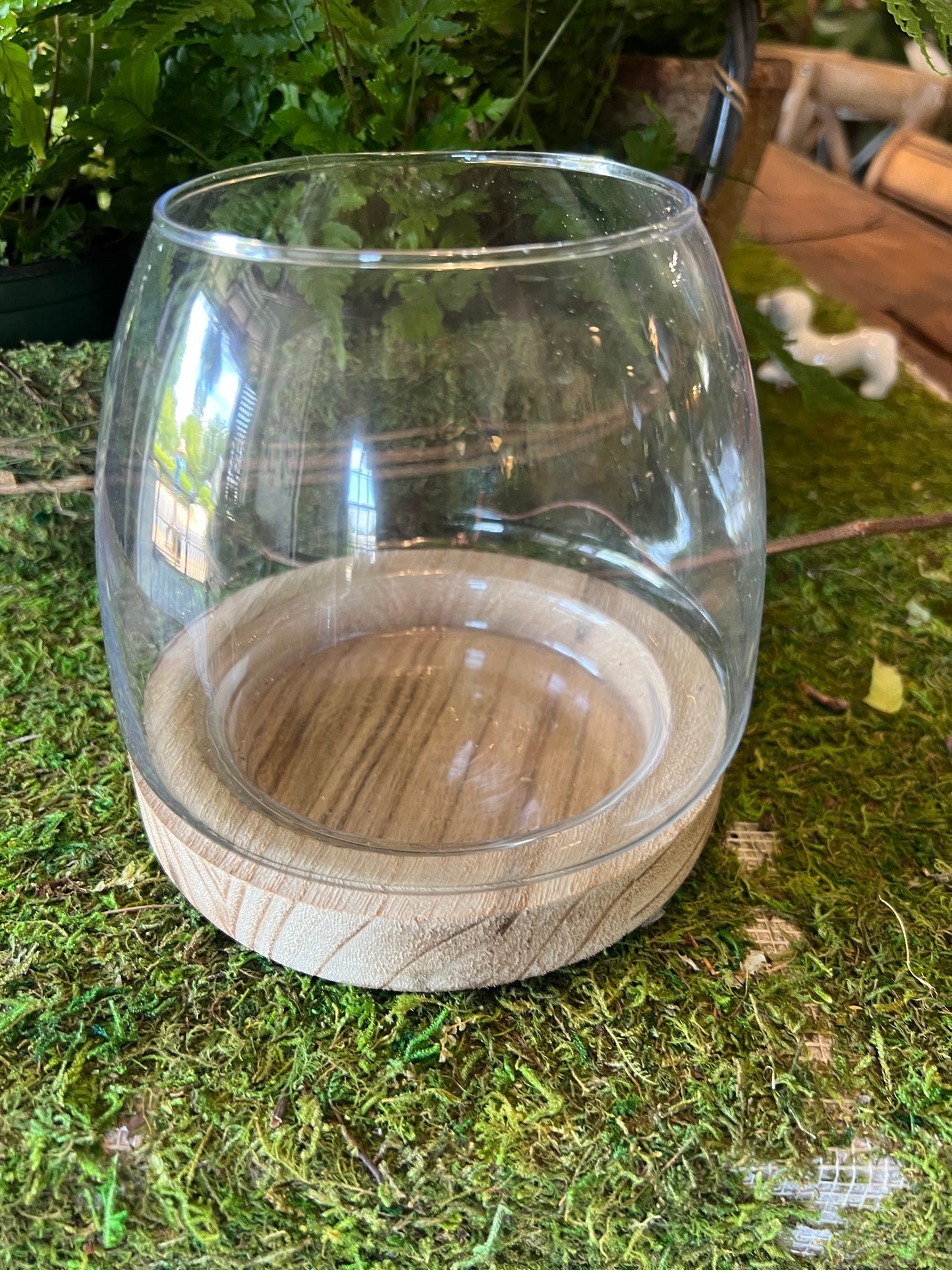 Glass Terrarium with Wood Base